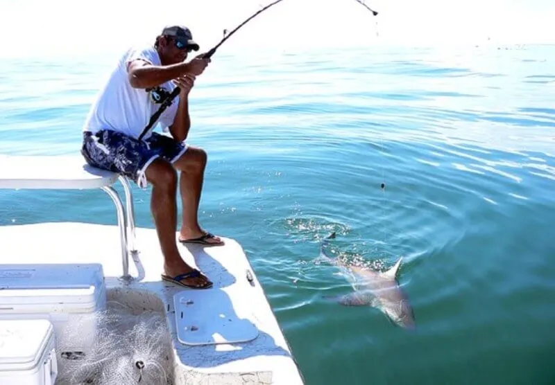 Khasab Musandam Fishing Trip