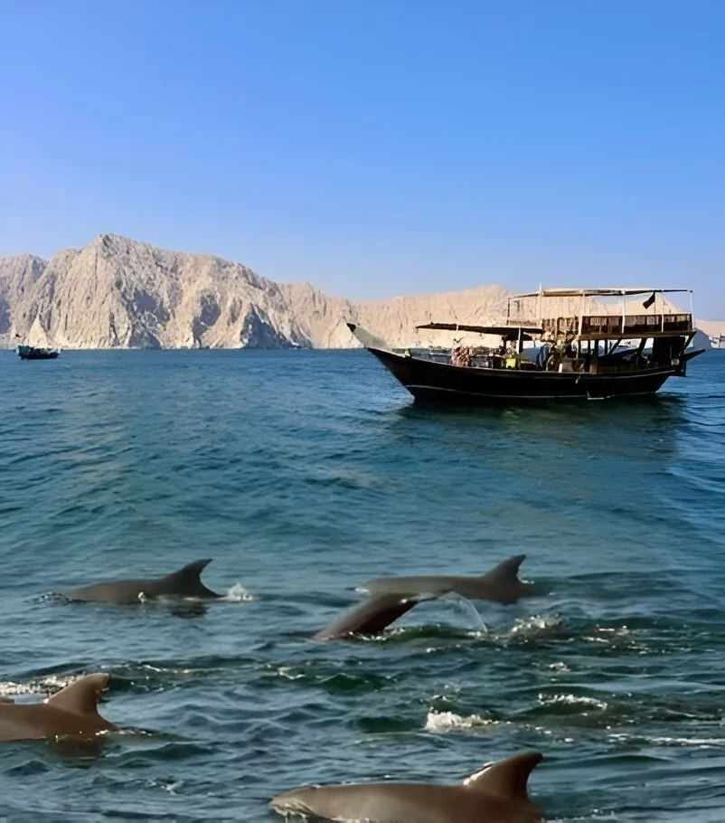Full Day Musandam Dhow Cruise